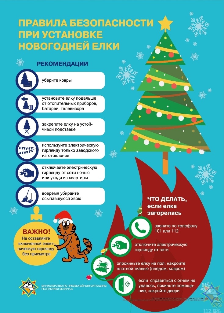 Листовка Установка елки